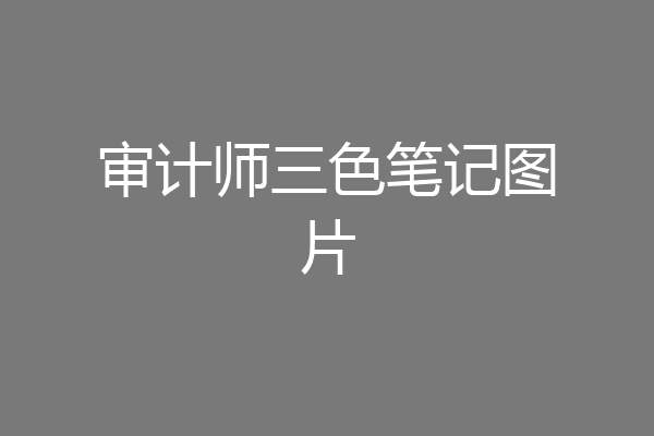 审计师三色笔记图片