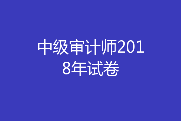 中级审计师2018年试卷