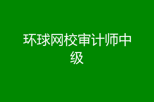 环球网校审计师中级