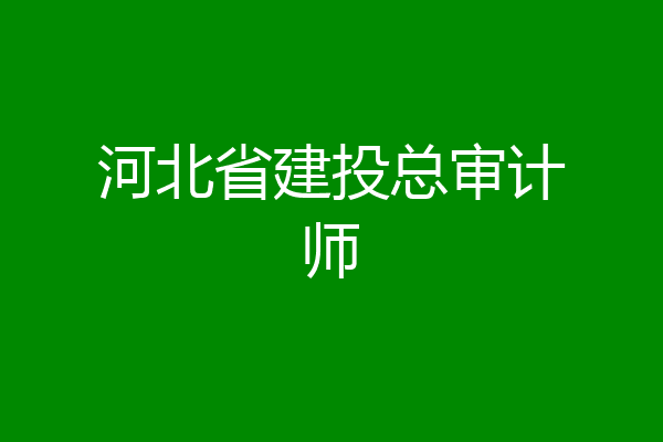 河北省建投总审计师