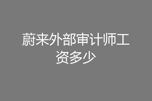 蔚来外部审计师工资多少