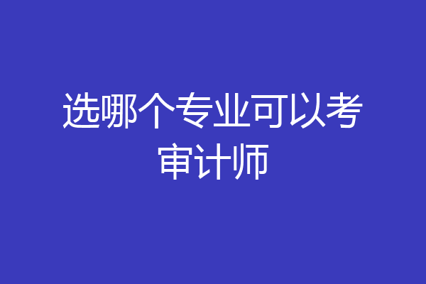 选哪个专业可以考审计师