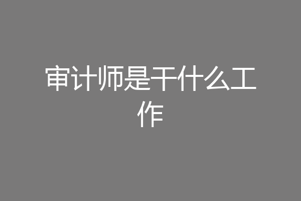 审计师是干什么工作