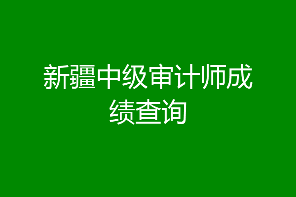 新疆中级审计师成绩查询