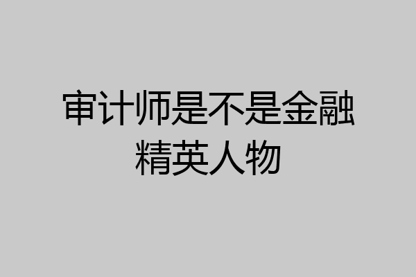 审计师是不是金融精英人物