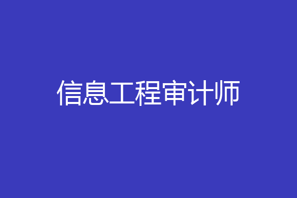 信息工程审计师