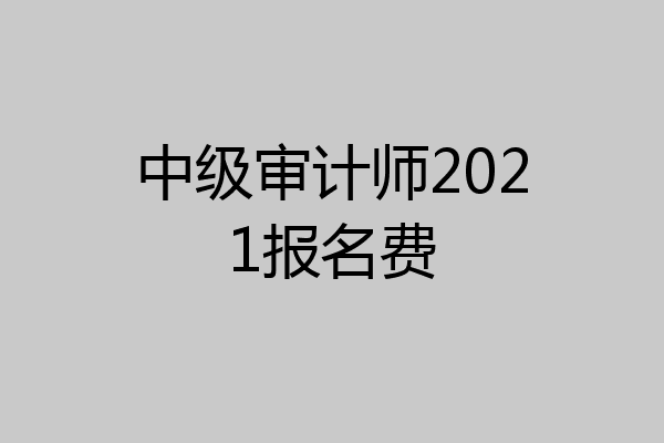 中级审计师2021报名费