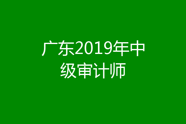 广东2019年中级审计师
