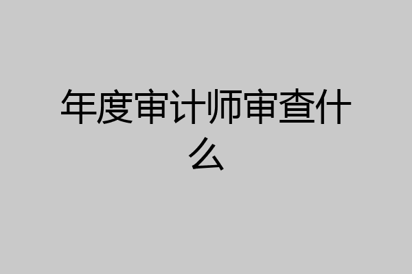年度审计师审查什么