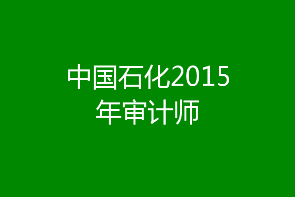 中国石化2015年审计师