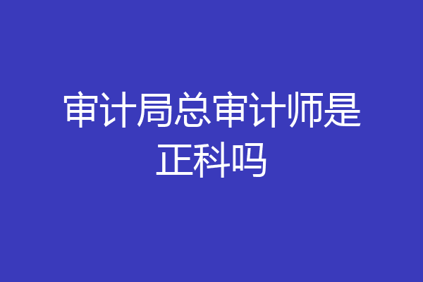 审计局总审计师是正科吗