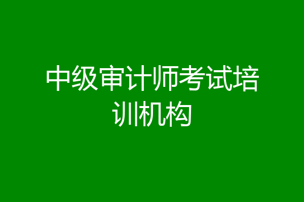 中级审计师考试培训机构