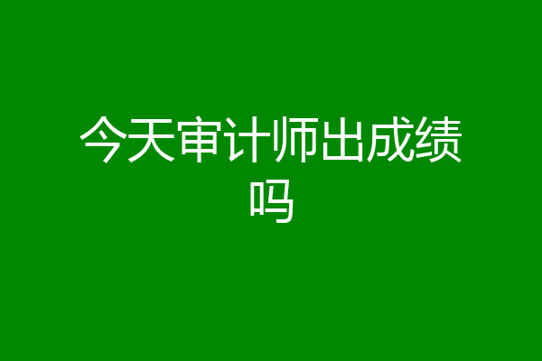 今天审计师出成绩吗