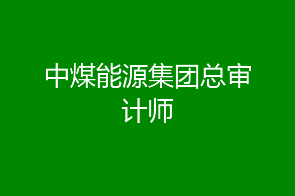 中煤能源集团总审计师