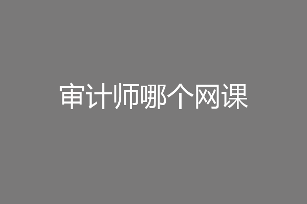 审计师哪个网课