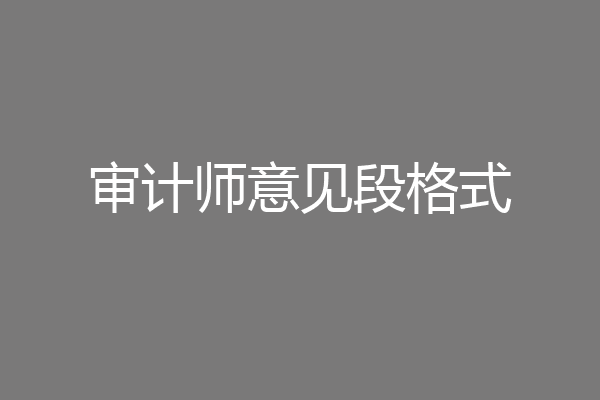 审计师意见段格式