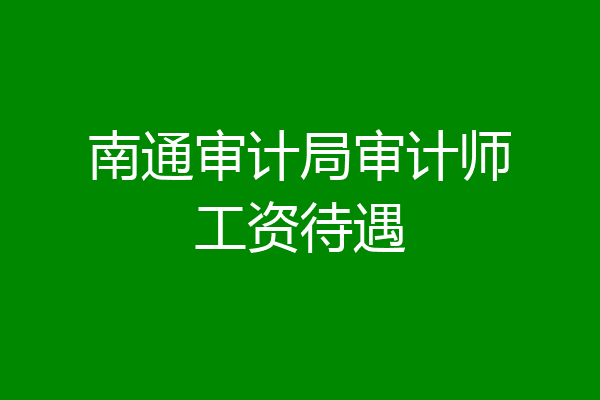 南通审计局审计师工资待遇