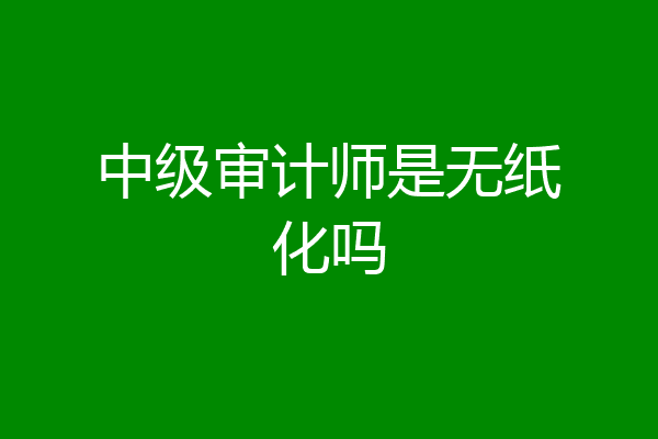 中级审计师是无纸化吗