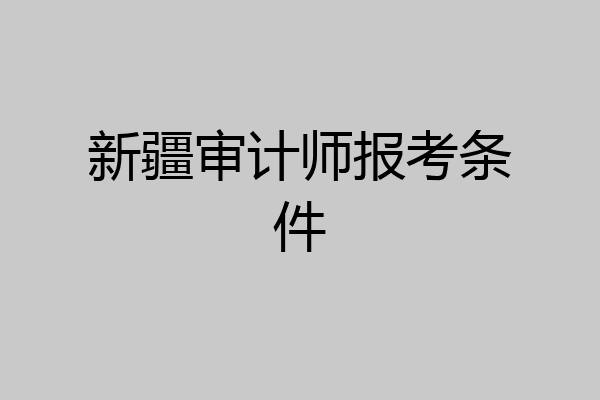 新疆审计师报考条件