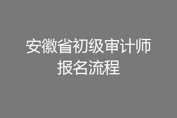 安徽省初级审计师报名流程