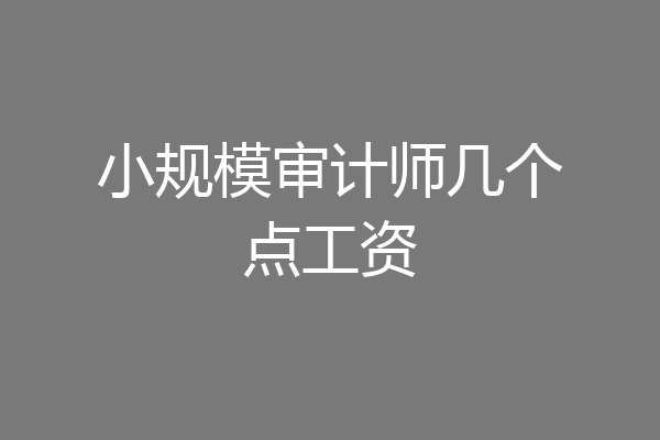 小规模审计师几个点工资