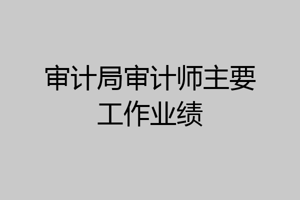 审计局审计师主要工作业绩