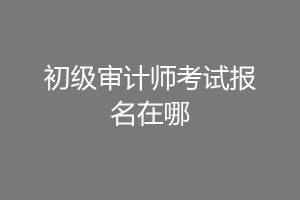 初级审计师考试报名在哪