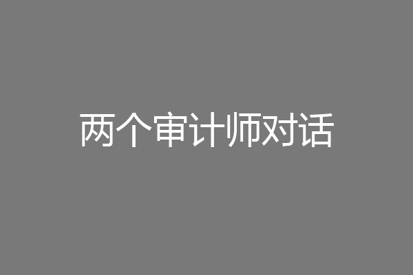 两个审计师对话