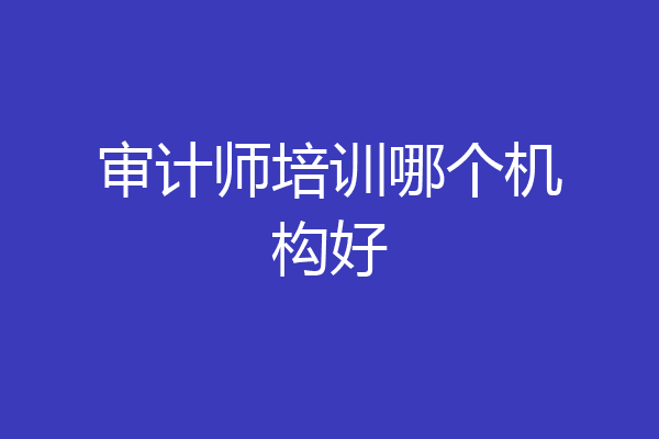 审计师培训哪个机构好