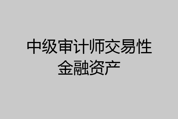 中级审计师交易性金融资产