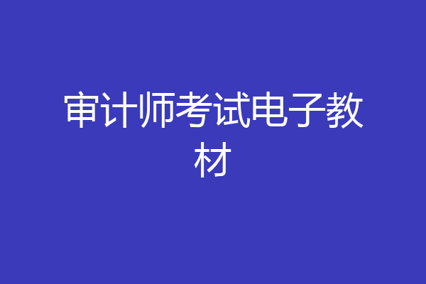 审计师考试电子教材
