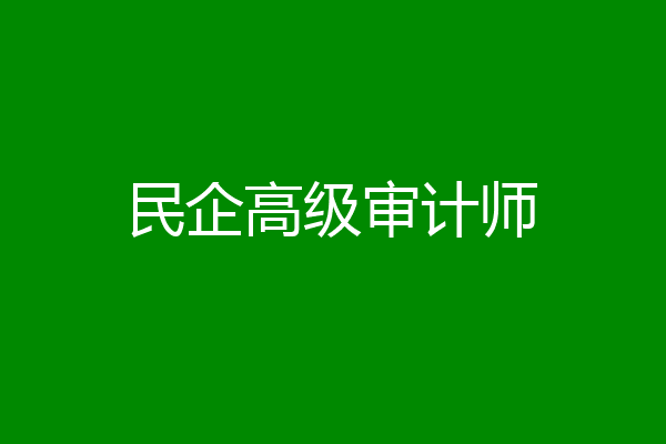 民企高级审计师