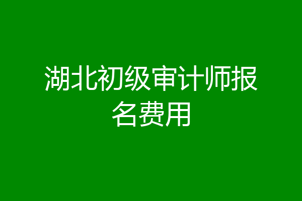 湖北初级审计师报名费用