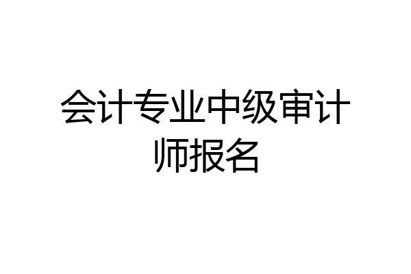会计专业中级审计师报名