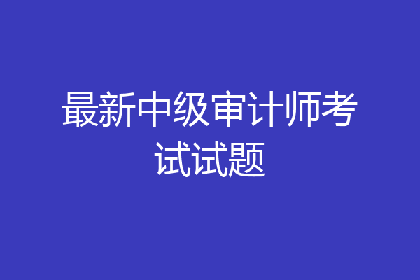 最新中级审计师考试试题