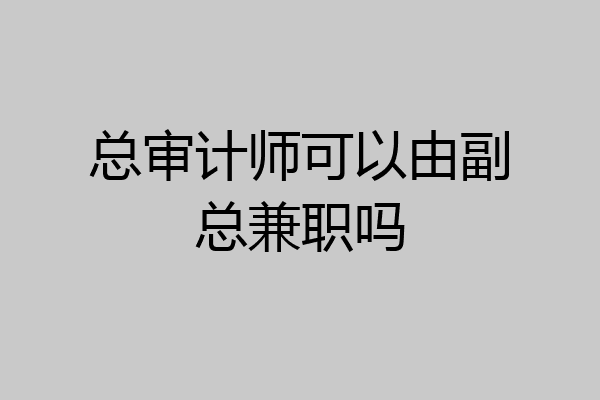 总审计师可以由副总兼职吗
