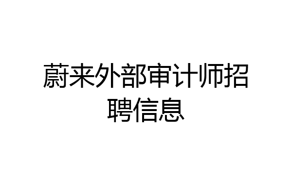 蔚来外部审计师招聘信息