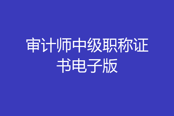 审计师中级职称证书电子版
