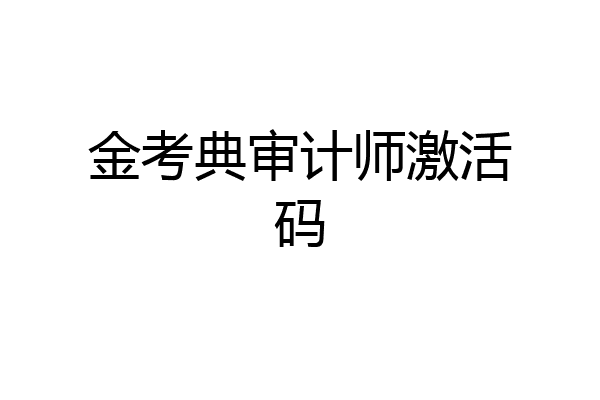 金考典审计师激活码