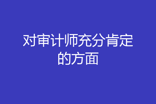 对审计师充分肯定的方面