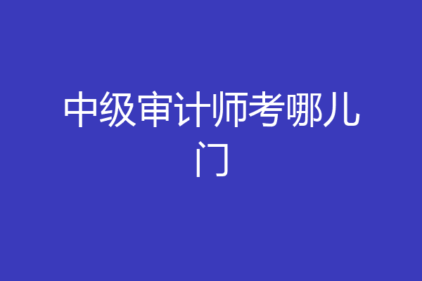 中级审计师考哪儿门
