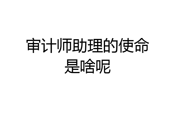 审计师助理的使命是啥呢