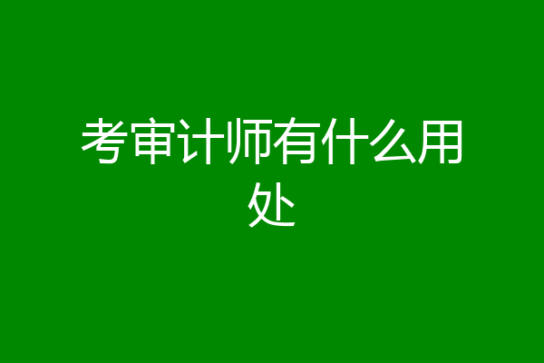 考审计师有什么用处