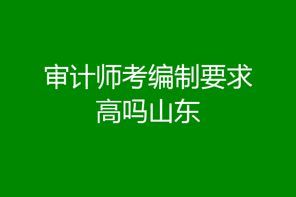 审计师考编制要求高吗山东