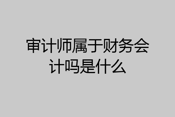 审计师属于财务会计吗是什么