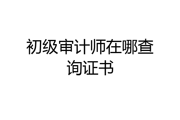 初级审计师在哪查询证书