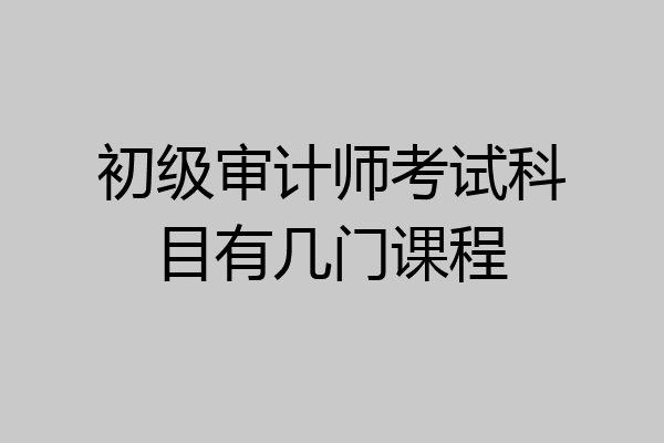 初级审计师考试科目有几门课程