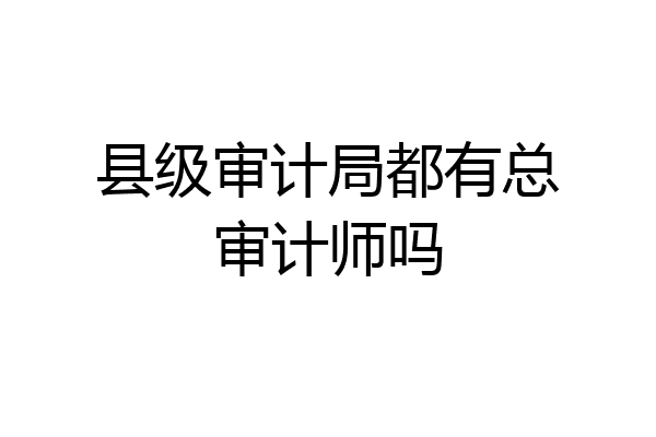 县级审计局都有总审计师吗