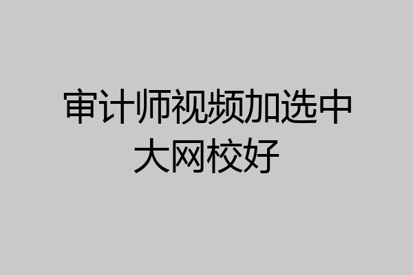 审计师视频加选中大网校好