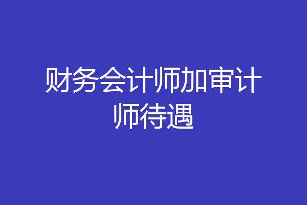 财务会计师加审计师待遇
